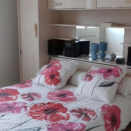 Apartament T4/5 Avec Vue Sur Les Alpes A 5 Minutes De Lyon La Mulatiere Zewnętrze zdjęcie