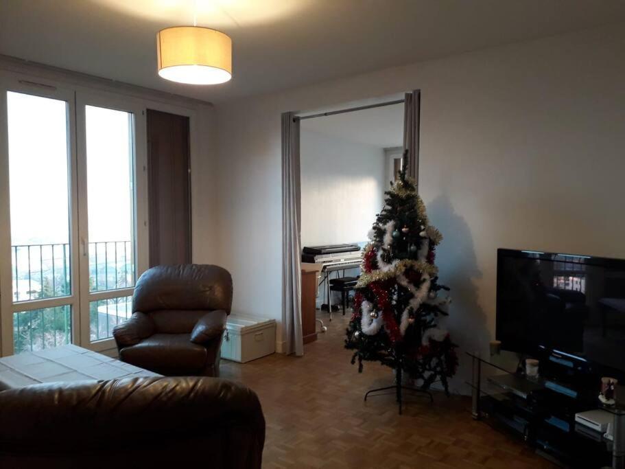 Apartament T4/5 Avec Vue Sur Les Alpes A 5 Minutes De Lyon La Mulatiere Zewnętrze zdjęcie