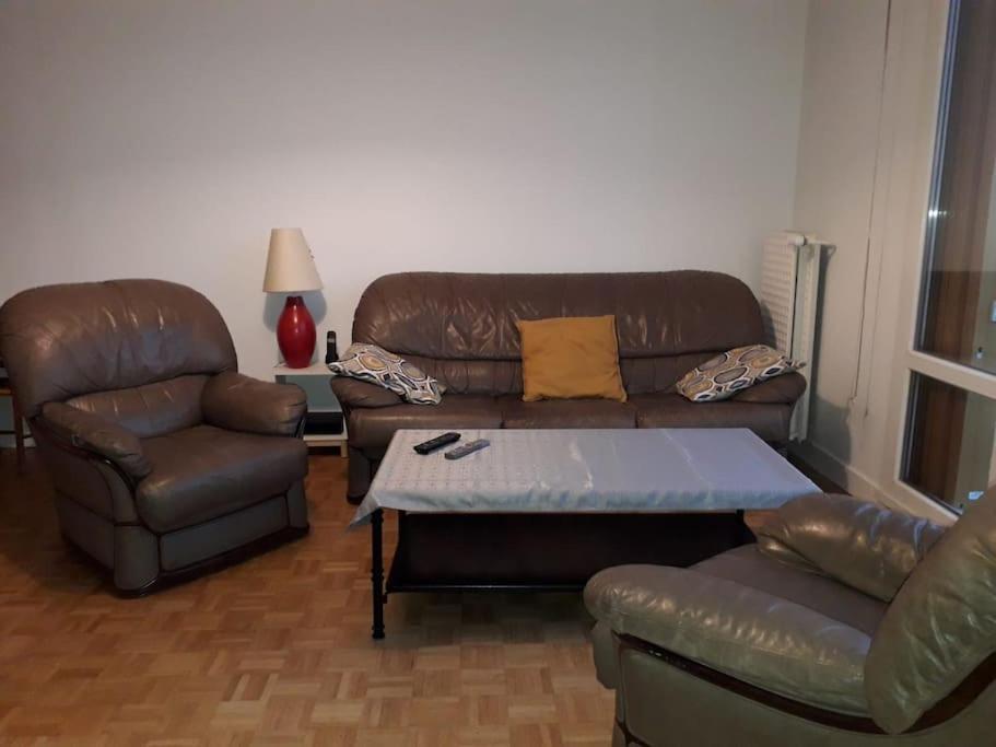 Apartament T4/5 Avec Vue Sur Les Alpes A 5 Minutes De Lyon La Mulatiere Zewnętrze zdjęcie